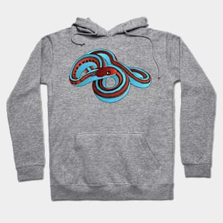 San Francisco garter snake cartoon illustration Hoodie